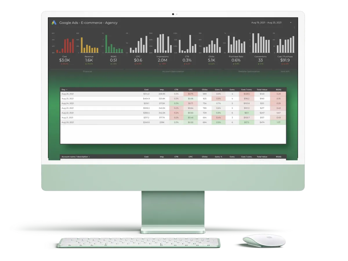 Google Ads Analyser Desktop Dashboard for E-commerce